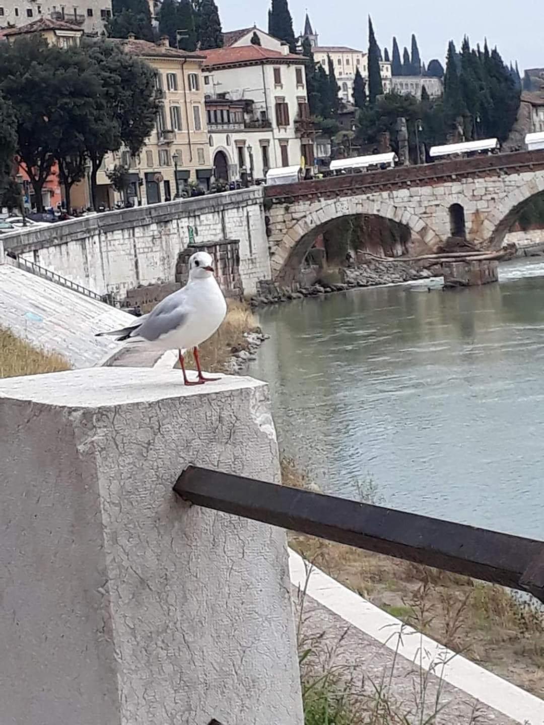 Casa Vacanza Elena Verona Exteriér fotografie
